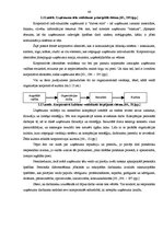 Diplomdarbs 'Ēdināšanas un izklaides kompleksa "X" izveides un attīstības projekts Vecrīgā', 44.