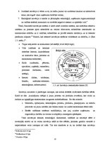 Referāts 'Inovācijas tūrisma sfērā Latvijā', 10.