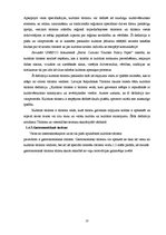 Referāts 'Inovācijas tūrisma sfērā Latvijā', 23.