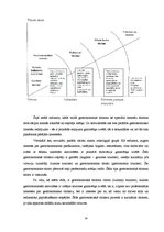 Referāts 'Inovācijas tūrisma sfērā Latvijā', 24.