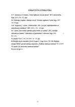 Referāts 'Iedzīvotāju ienākuma nodoklis', 14.