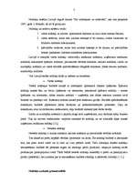 Referāts 'Norēķinu par nodokļiem uzskaite grāmatvedībā', 3.