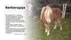 Prezentācija 'Alternatīvās terapijas - Reitterapija', 9.
