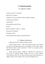 Biznesa plāns 'Biznesa plāns', 7.