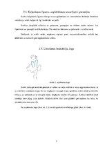 Biznesa plāns 'Biznesa plāns', 13.