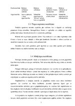 Biznesa plāns 'Biznesa plāns', 15.