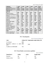 Biznesa plāns 'Biznesa plāns', 29.