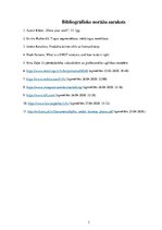 Biznesa plāns 'Biznesa plāns', 33.