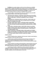 Konspekts 'Valsts loma ekonomikā', 4.