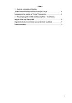 Referāts 'Patstāvīgais darbs pilsētas socioloģijā', 2.