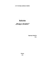Referāts 'Denges drudzis', 1.