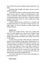 Referāts 'Denges drudzis', 3.