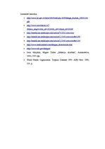 Referāts 'Denges drudzis', 6.