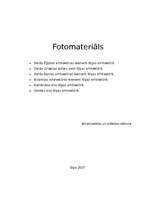 Konspekts 'Iezīmes Rīgas arhitektūrā. Fotomateriāls', 1.