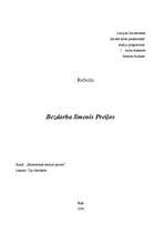 Eseja 'Bezdarba līmenis Preiļos', 1.