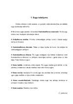 Referāts 'Cilvēka attīstība', 3.