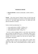 Referāts 'Cilvēka attīstība', 7.