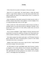 Referāts 'Cilvēka attīstība', 15.