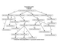 Konspekts 'Programmēšanas valodas - paralēlā programmēšana', 1.
