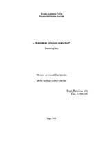 Biznesa plāns 'Eksotiskas virtuves restorāns', 1.