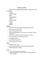 Biznesa plāns 'Eksotiskas virtuves restorāns', 7.