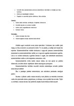 Biznesa plāns 'Eksotiskas virtuves restorāns', 8.