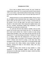 Referāts 'Slokas rūpniecība', 1.