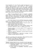 Referāts 'Tūrisma attīstība Latvijā', 6.