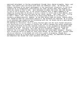 Eseja 'Character analysis on HuckleBerry Finn.', 2.