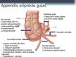 Prezentācija 'Akūts apendicīts', 4.