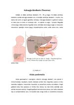 Konspekts 'Akūts pankreatīts', 5.