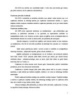 Referāts 'Uzņēmuma mārketinga darbība', 5.