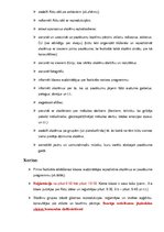 Paraugs 'Mākslas festivāla scenārijs', 2.