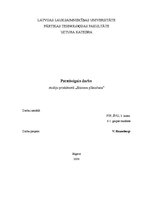 Paraugs 'Biznesa plānošana', 1.