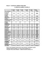 Paraugs 'Biznesa plānošana', 4.