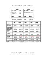 Paraugs 'Biznesa plānošana', 5.