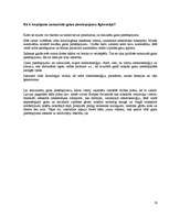 Referāts 'Gaisa piesārņojuma problēma Latvijā', 19.