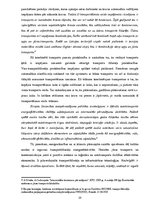 Diplomdarbs 'Multimodālās transporta operācijas izmantošanas iespēju novērtējums', 19.