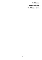 Diplomdarbs 'Multimodālās transporta operācijas izmantošanas iespēju novērtējums', 53.