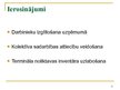 Diplomdarbs 'Multimodālās transporta operācijas izmantošanas iespēju novērtējums', 74.