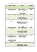 Prakses atskaite 'Grāmatvedības prakses atskaite', 34.