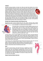 Konspekts 'The Cardio-Respiratory and Energy Systems', 2.
