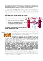 Konspekts 'The Cardio-Respiratory and Energy Systems', 4.