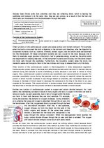 Konspekts 'The Cardio-Respiratory and Energy Systems', 5.