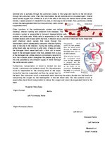 Konspekts 'The Cardio-Respiratory and Energy Systems', 6.