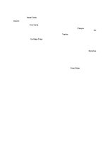 Konspekts 'The Cardio-Respiratory and Energy Systems', 14.