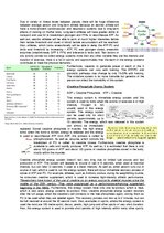 Konspekts 'The Cardio-Respiratory and Energy Systems', 17.