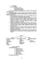 Konspekts 'Logopēdija', 18.