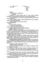 Konspekts 'Logopēdija', 30.