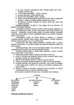 Konspekts 'Logopēdija', 37.